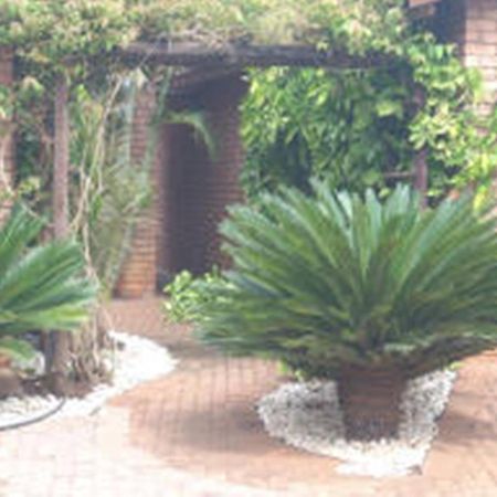 Cycas Guest House Малелейн Екстериор снимка