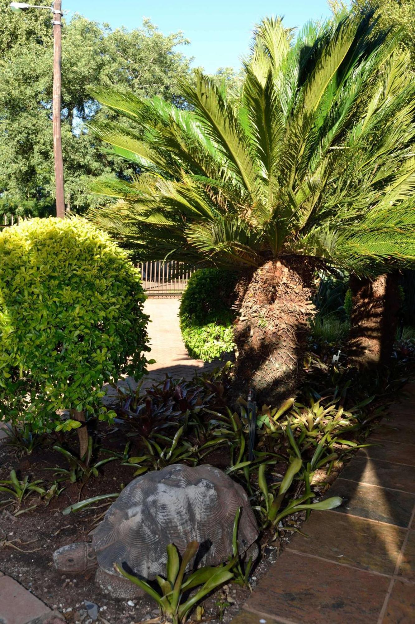 Cycas Guest House Малелейн Екстериор снимка