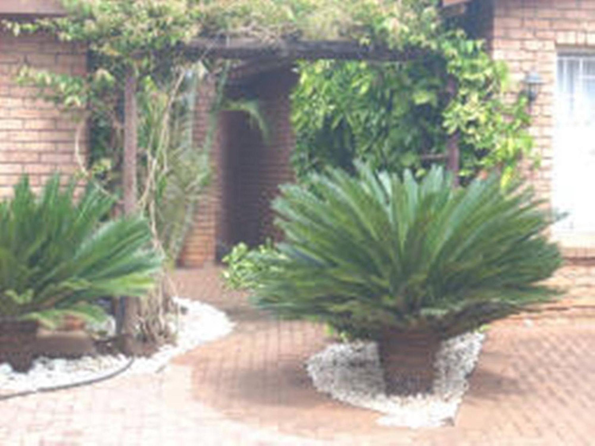 Cycas Guest House Малелейн Екстериор снимка