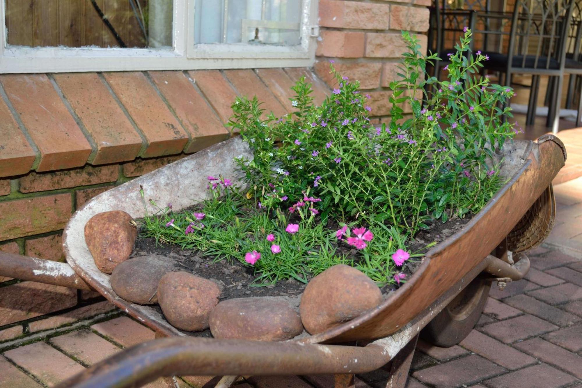 Cycas Guest House Малелейн Екстериор снимка