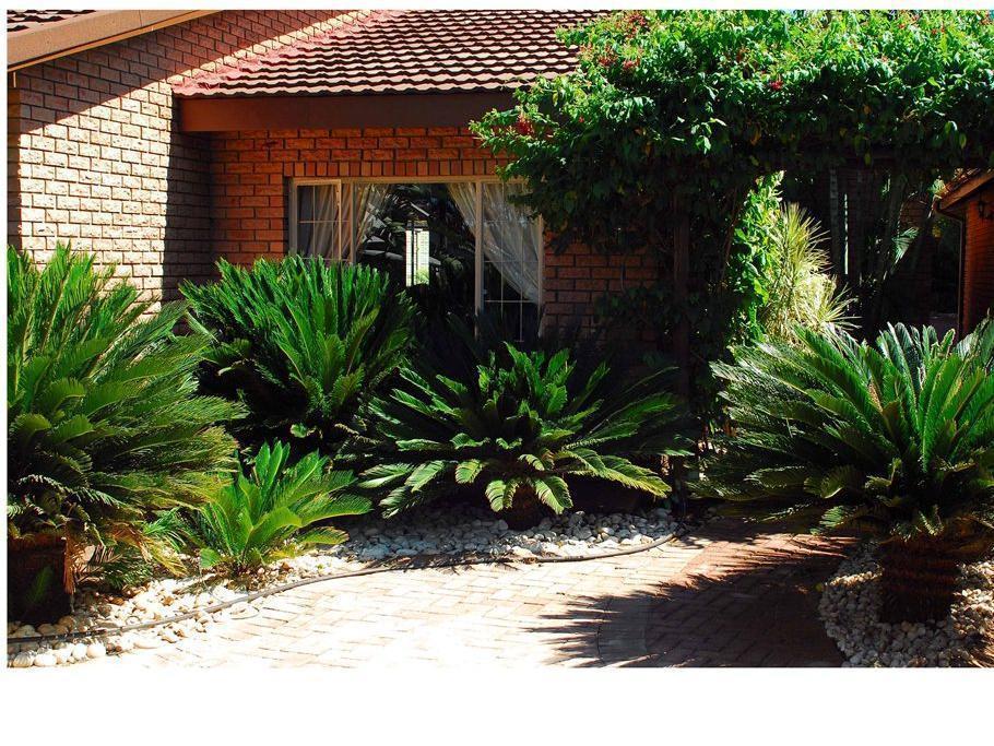Cycas Guest House Малелейн Екстериор снимка